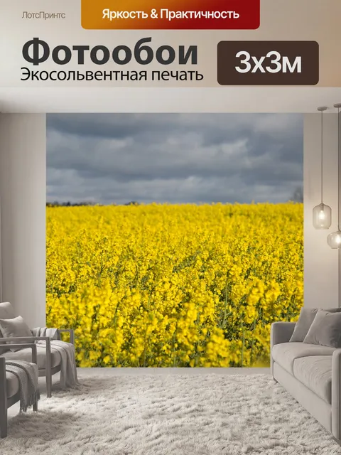 Фотообои Область желтого рапса