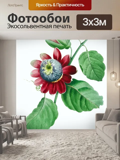 Фотообои Винтажное цветочное искусство иллюстраци