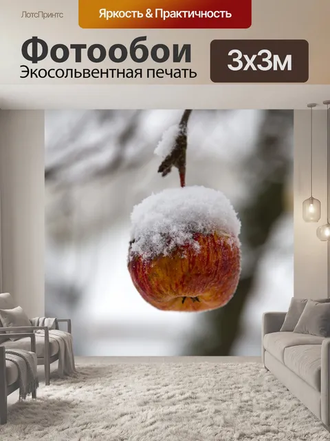 Фотообои Снег покрыл яблоко
