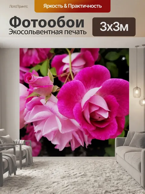 Фотообои Розовая Роза и Бад