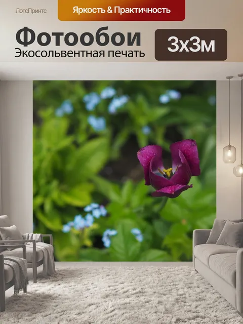 Фотообои Цветы