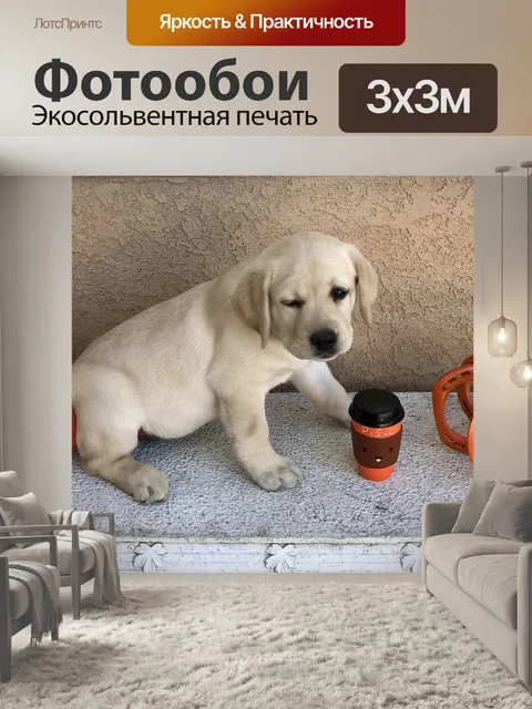 Фотообои Щенок
