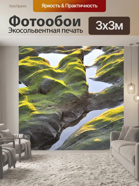 Фотообои Водоросли