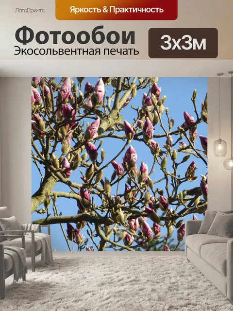 Фотообои Процветающие магнолии