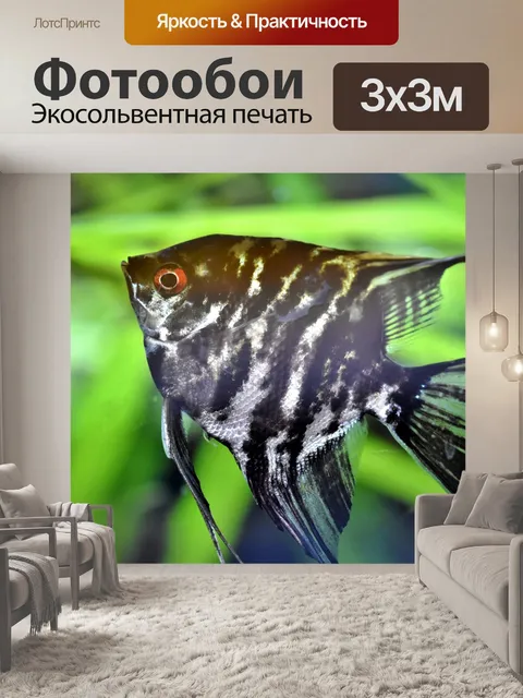 Фотообои Рыбы