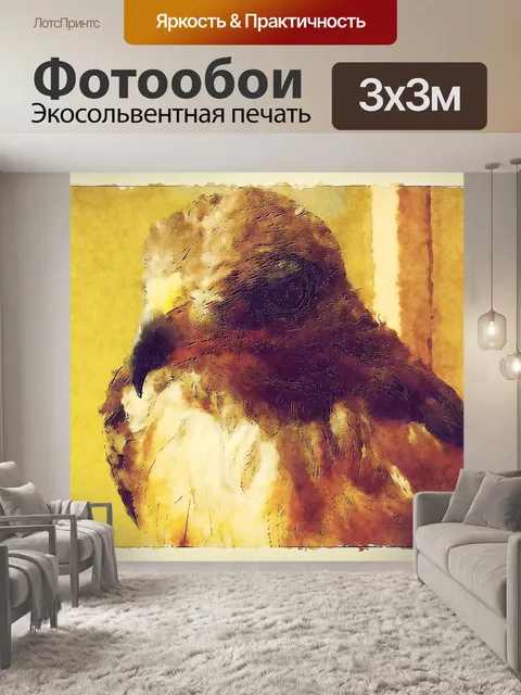 Фотообои ястреб