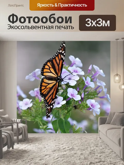 Фотообои Монарх Баттерфляй на фиолетовых цветах