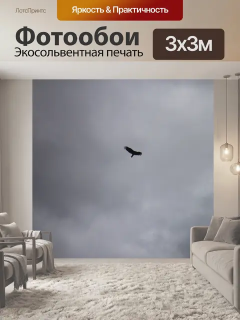Фотообои Птица в небе