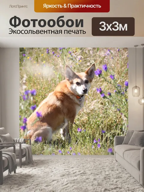 Фотообои Собака