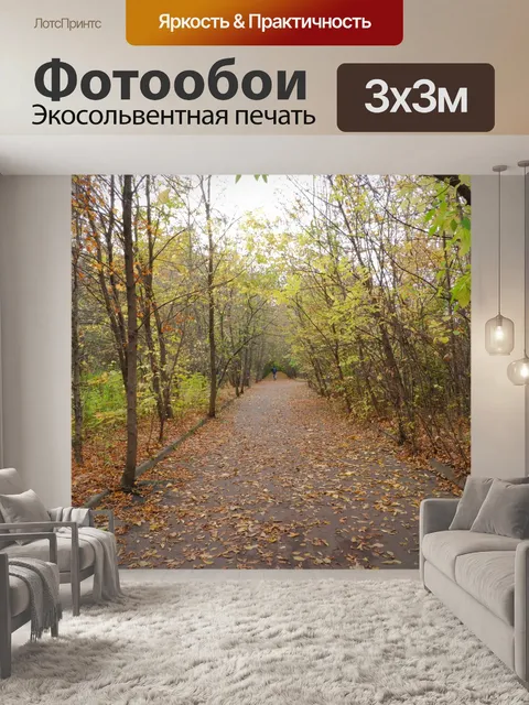 Фотообои осень, лес, парк