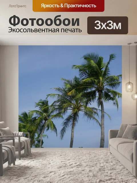Фотообои Пальмы