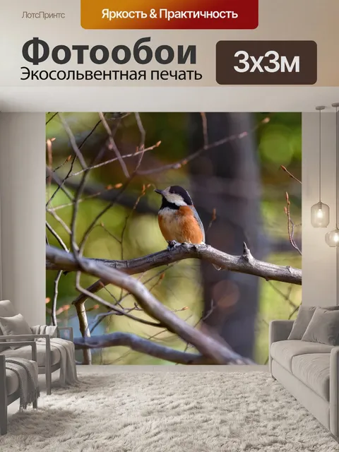 Фотообои Животное