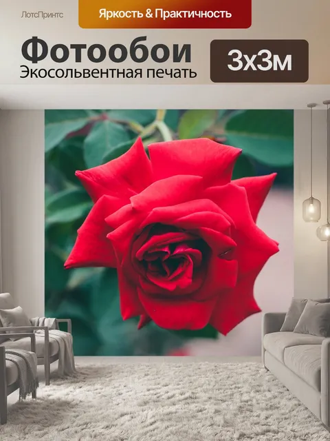 Фотообои Красные розы