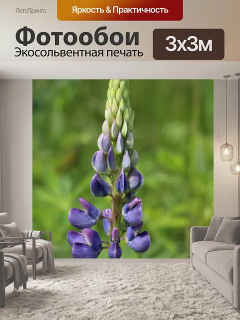 Фотообои люпин