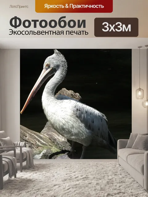 Фотообои Пеликан