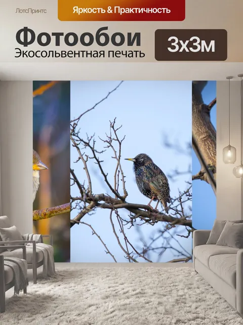 Фотообои птицы