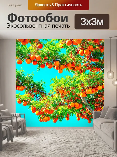Фотообои китай изображают мандариновые деревья, ярко освещенные солнцем, с фруктами, свисающими на фоне голубого неба