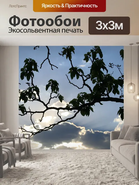 Фотообои Заход солнца