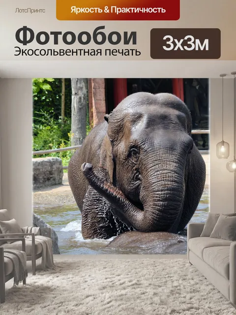 Фотообои В ванне со слонами 01