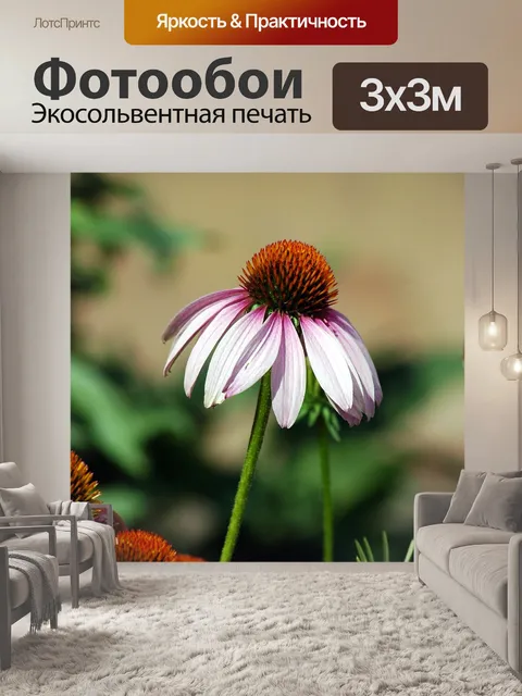 Фотообои Фиолетовый конуса цветок