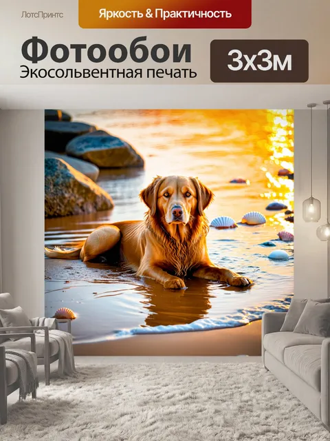 Фотообои золотистый ретривер с мокрой шерстью после купания в реке