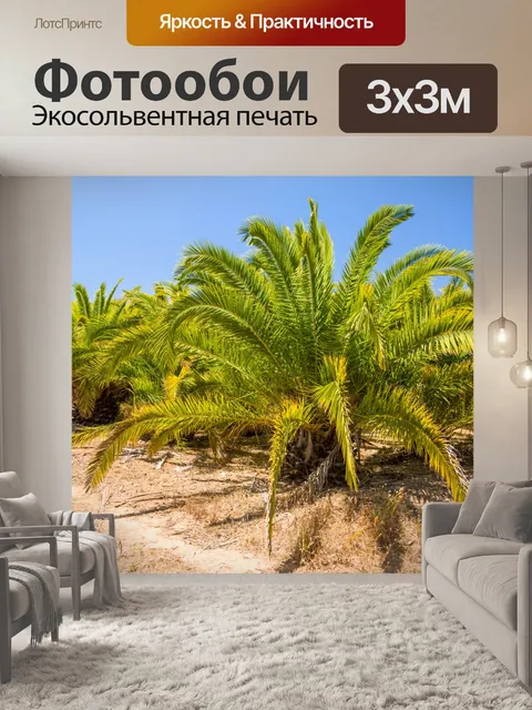 Фотообои Пальмы и голубое небо