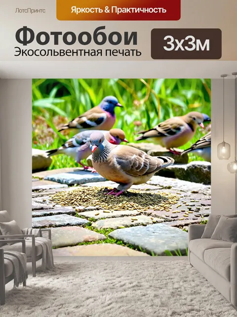 Фотообои голубь, кормящийся зерном на старой мостовой, вокруг него собираются другие птицы, детализированные текстуры…