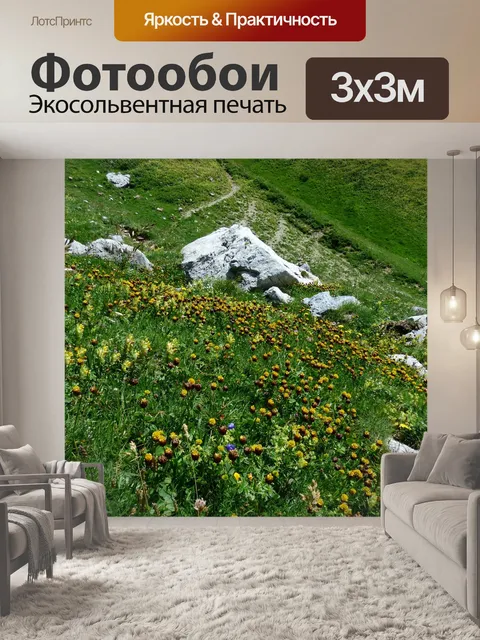 Фотообои Склон горы