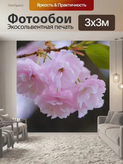 Фотообои Вишневое дерево