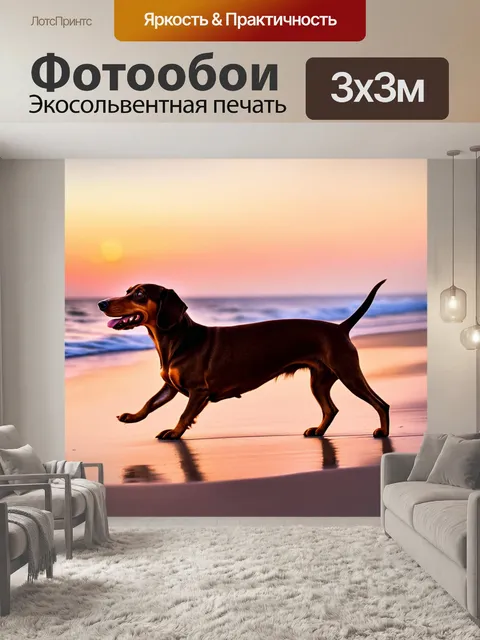 Фотообои длинношерстная такса, прогуливающаяся по пустынному пляжу на закате