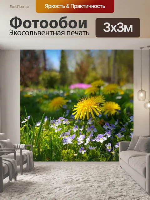 Фотообои Желтый одуванчик
