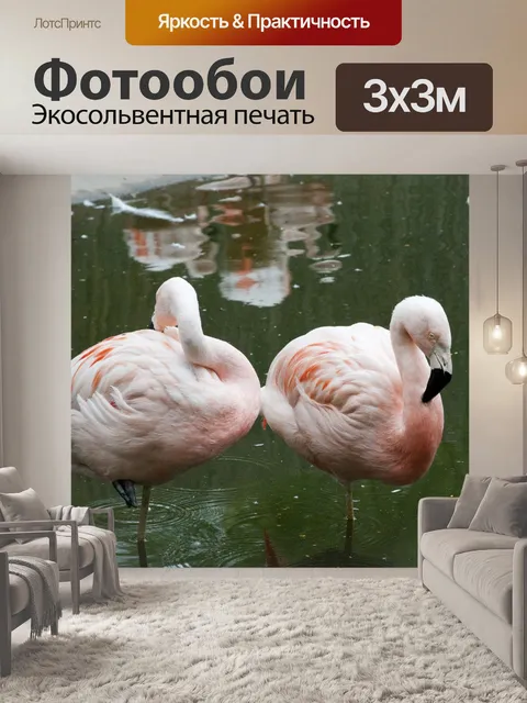 Фотообои Розовые фламинго