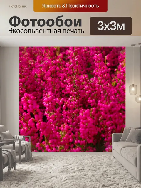 Фотообои Розовые цветы вереска