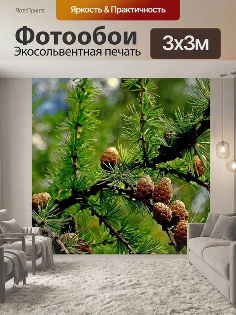 Фотообои Природа