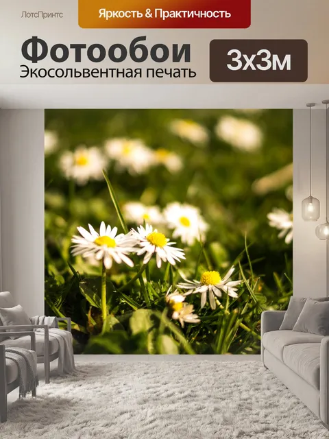 Фотообои Зеленая трава и ромашки