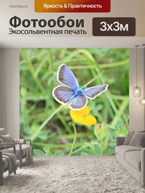 Фотообои Синий