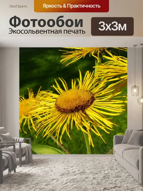 Фотообои Alant