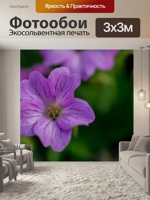 Фотообои Розовый цветок Макро