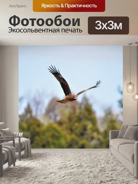 Фотообои Животное