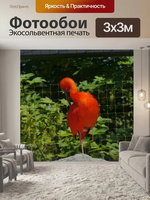 Фотообои Красный ибис