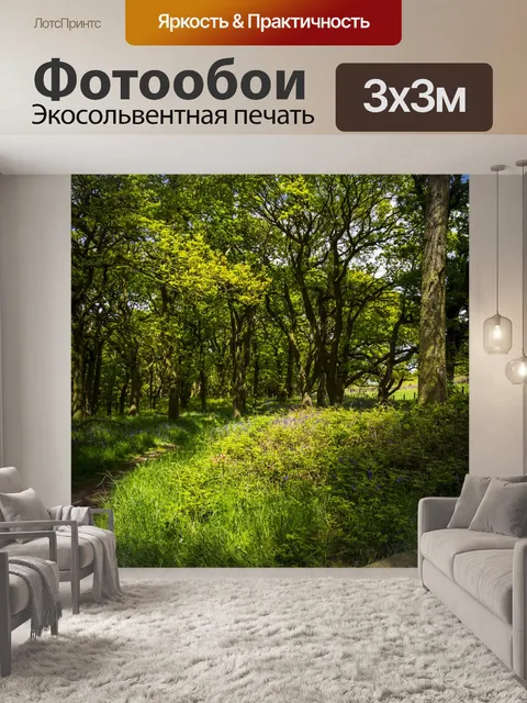 Фотообои Зеленый лес