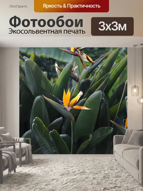 Фотообои Монте-карло