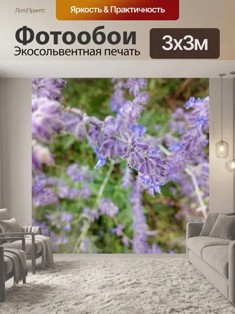 Фотообои фиолетовый цветок