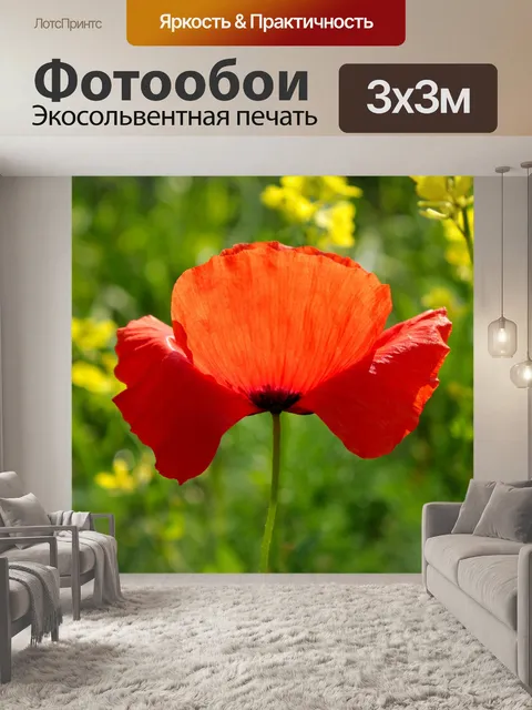 Фотообои Red