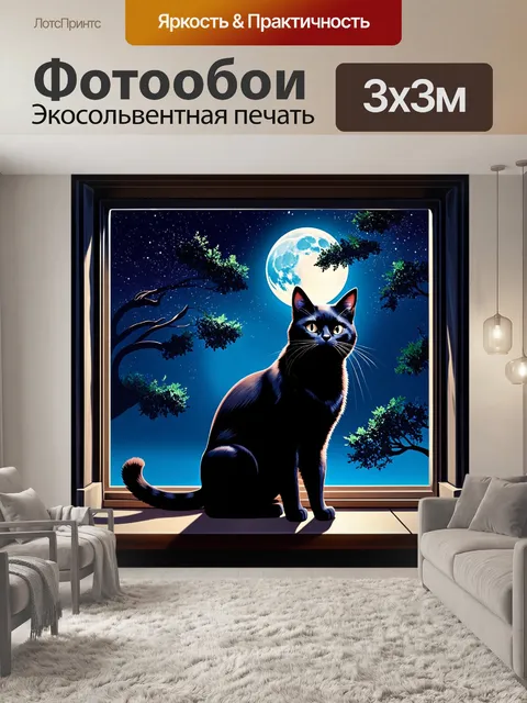Фотообои загадочный черный кот, сидящий на подоконнике, смотрящий на ночное небо, на фоне звезд и луны