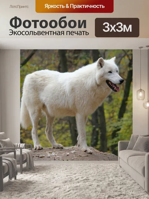 Фотообои Волк