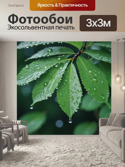 Фотообои березка с каплями дождя на листьях
