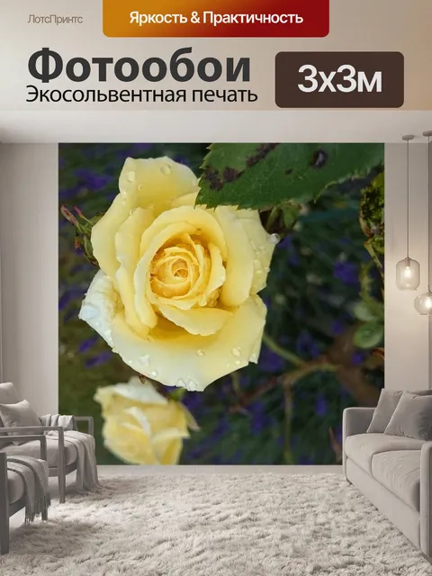 Фотообои Желтая роза