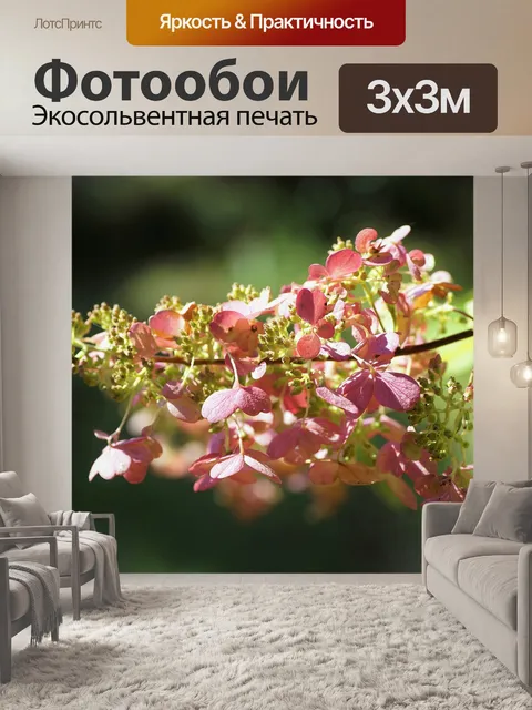 Фотообои Гортензия