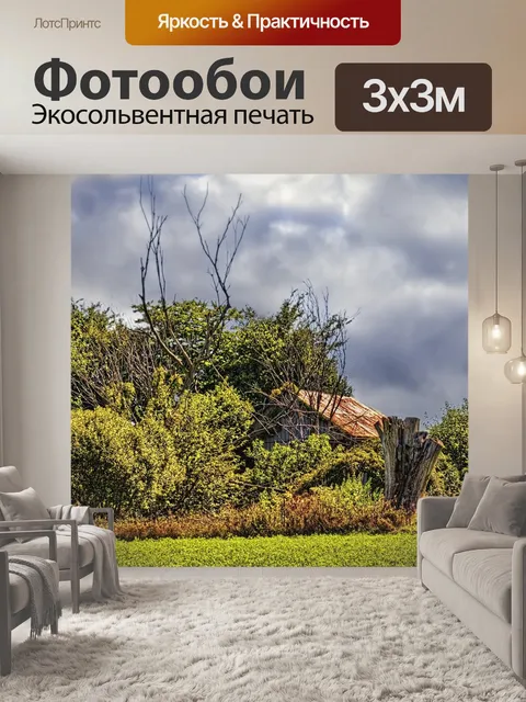 Фотообои Сарай